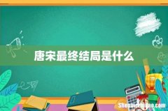 唐宋最终结局是什么