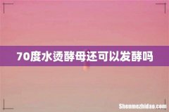 70度水烫酵母还可以发酵吗