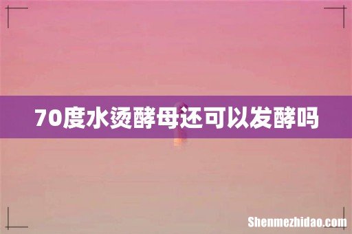 70度水烫酵母还可以发酵吗
