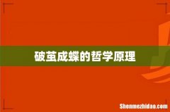 破茧成蝶的哲学原理