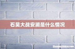 石昊大战安澜是什么情况