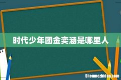 时代少年团金奕涵是哪里人