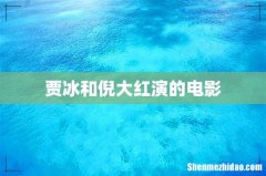贾冰和倪大红演的电影