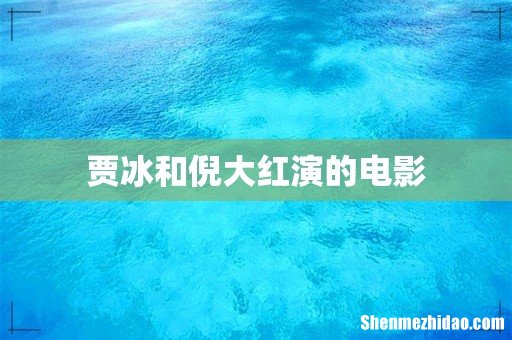贾冰和倪大红演的电影