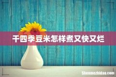 干四季豆米怎样煮又快又烂