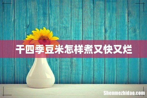 干四季豆米怎样煮又快又烂
