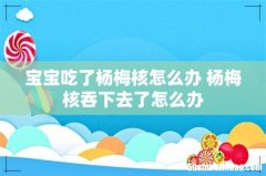 宝宝吃了杨梅核怎么办 杨梅核吞下去了怎么办