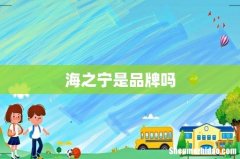 海之宁是品牌吗