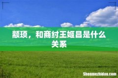 颛顼，和商纣王姬昌是什么关系