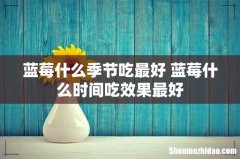 蓝莓什么季节吃最好 蓝莓什么时间吃效果最好