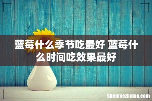蓝莓什么季节吃最好 蓝莓什么时间吃效果最好