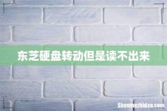 东芝硬盘转动但是读不出来