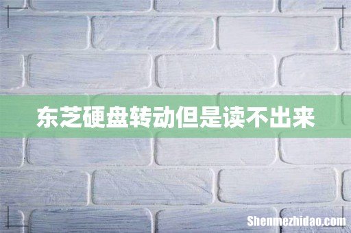 东芝硬盘转动但是读不出来