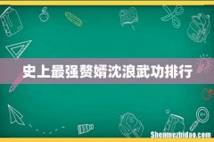史上最强赘婿沈浪武功排行