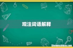 观注词语解释