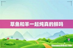 草鱼和羊一起炖真的鲜吗