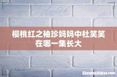 樱桃红之袖珍妈妈中杜笑笑在哪一集长大