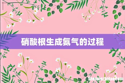 硝酸根生成氨气的过程