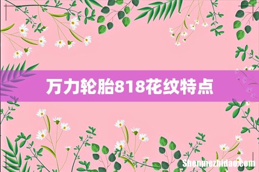 万力轮胎818花纹特点