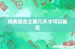 鸡粪混合土要几天才可以栽花