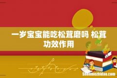 一岁宝宝能吃松茸磨吗 松茸功效作用