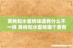 黄桃和水蜜桃味道有什么不一样 黄桃和水蜜桃哪个更有营养