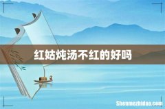 红姑炖汤不红的好吗