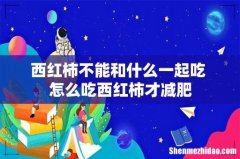 西红柿不能和什么一起吃 怎么吃西红柿才减肥