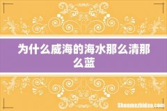 为什么威海的海水那么清那么蓝
