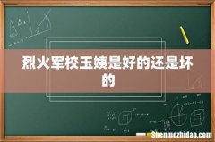 烈火军校玉姨是好的还是坏的