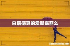 白瑞德真的爱斯嘉丽么