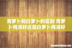 青萝卜和白萝卜的区别 青萝卜炖汤好还是白萝卜炖汤好