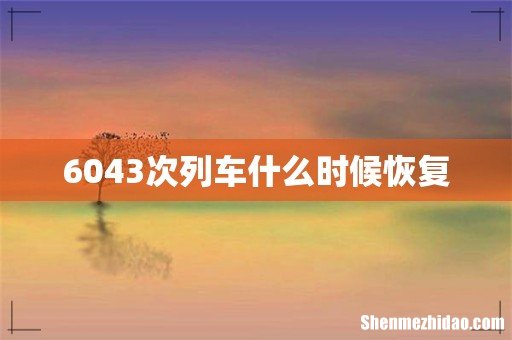 6043次列车什么时候恢复