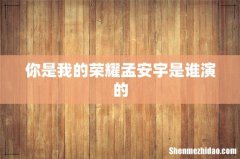 你是我的荣耀孟安宇是谁演的