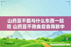 山药豆不能与什么东西一起吃 山药豆不熟食后会导致中毒吗