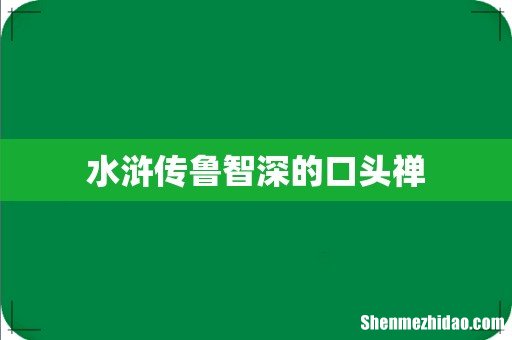 水浒传鲁智深的口头禅