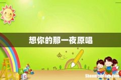 想你的那一夜原唱