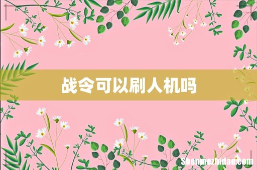 战令可以刷人机吗