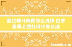 西红柿汁隔夜怎么洗掉 白衣服弄上西红柿汁怎么洗