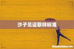 沙子见证取样标准