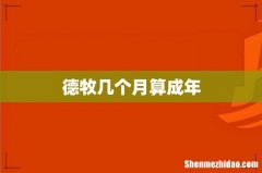 德牧几个月算成年