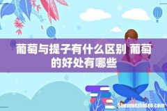 葡萄与提子有什么区别 葡萄的好处有哪些