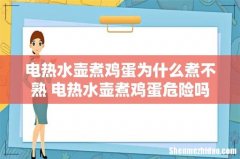 电热水壶煮鸡蛋为什么煮不熟 电热水壶煮鸡蛋危险吗