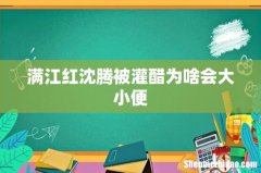 满江红沈腾被灌醋为啥会大小便