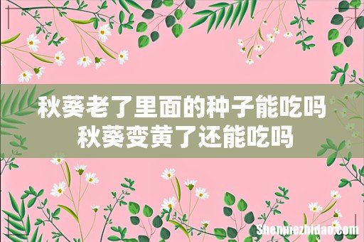 秋葵老了里面的种子能吃吗 秋葵变黄了还能吃吗