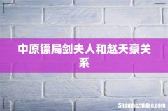 中原镖局剑夫人和赵天豪关系