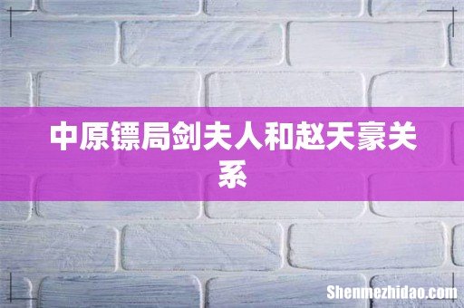 中原镖局剑夫人和赵天豪关系