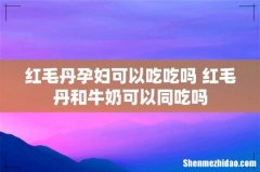 红毛丹孕妇可以吃吃吗 红毛丹和牛奶可以同吃吗