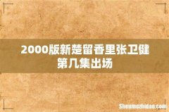2000版新楚留香里张卫健第几集出场