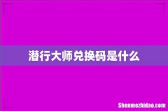 潜行大师兑换码是什么
